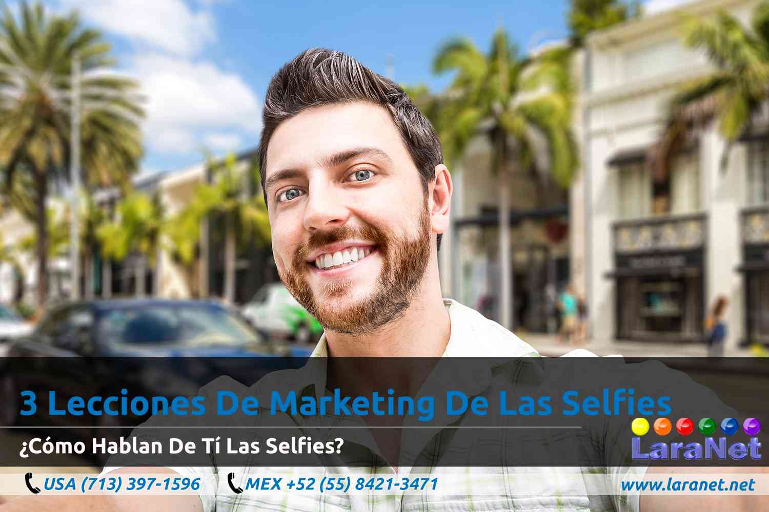 12 Disenador de Paginas Web Interactivas en Houston