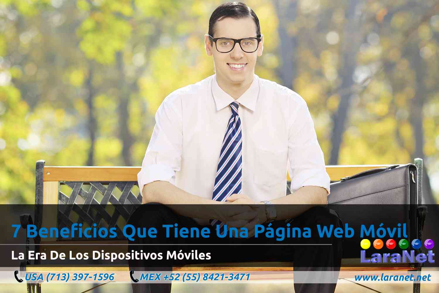 21 Desarrollo de Paginas Web en Houston