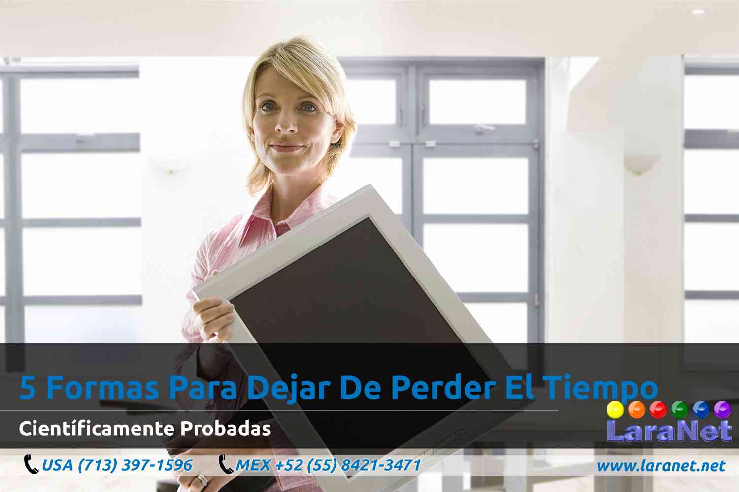 10 Desarrollador de Paginas Web Interactivas en Houston