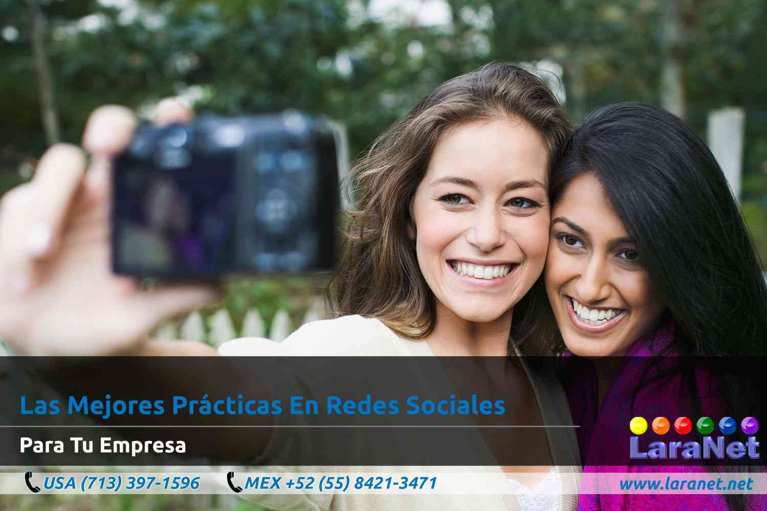 03 Desarrollador de Paginas Web Interactivas en Houston