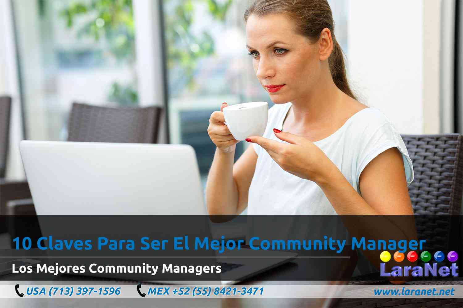 26 Disenador de Paginas Web para Pequenos Negocios